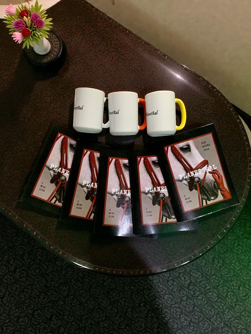 ⭐ MINI ZINE - The North Star