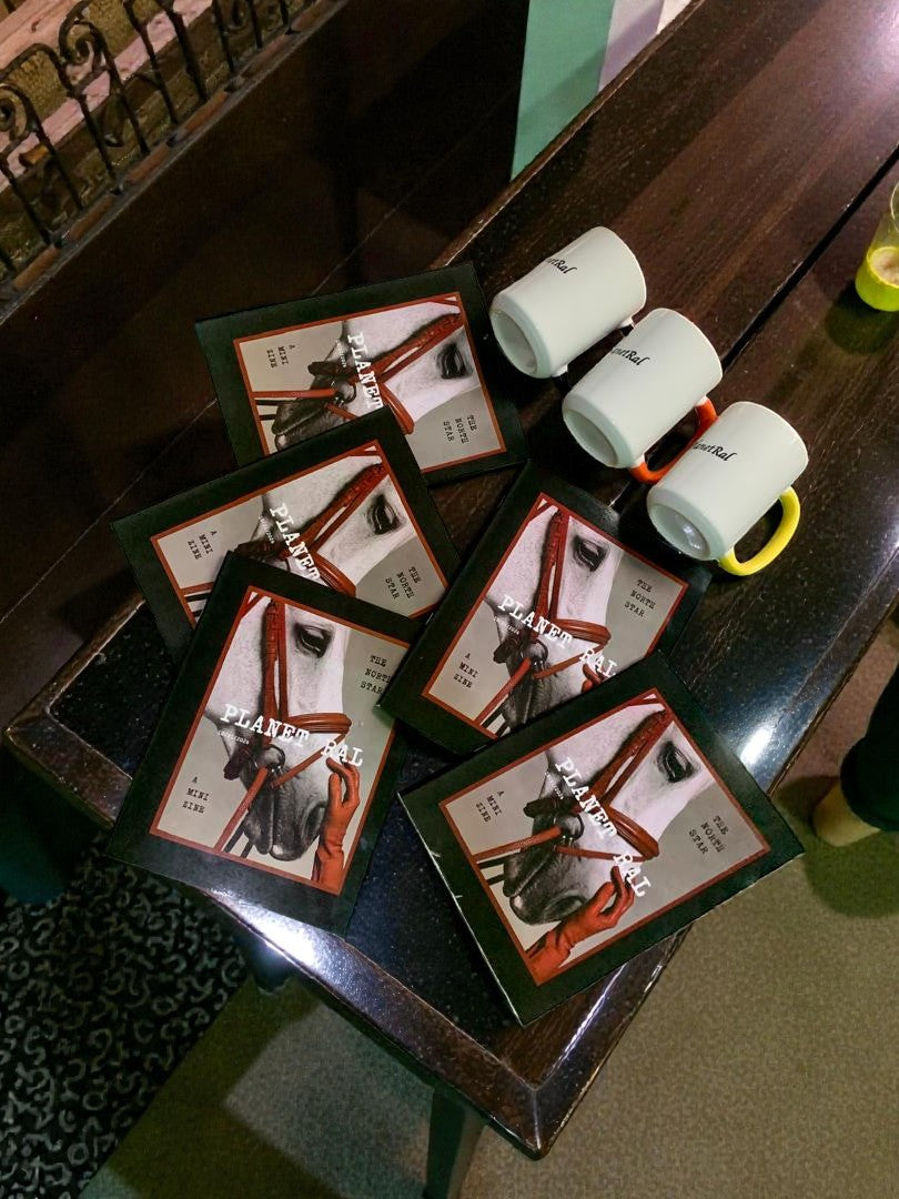 ⭐ MINI ZINE - The North Star