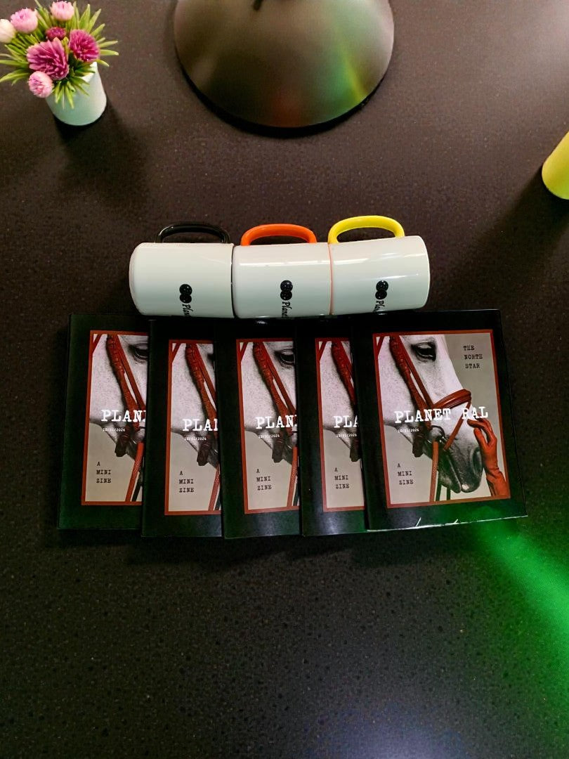 ⭐ MINI ZINE - The North Star